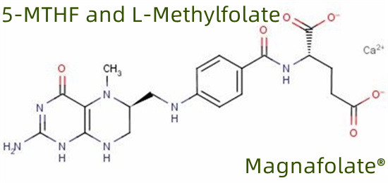 5-MTHF र L-Methylfolate