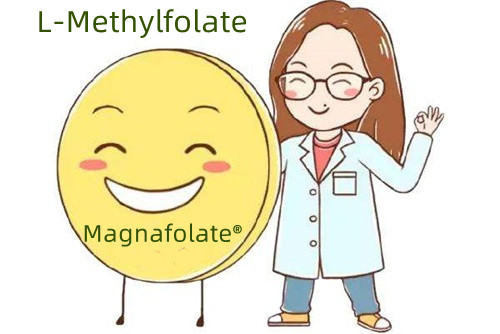 फोलिक एसिड र L-Methylfolate को पूरक स्रोत