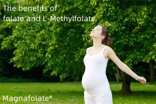 फोलेट र L-Methylfolate को स्वास्थ्य लाभ