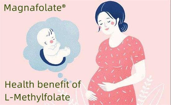 L-methylfolate संग न्यूरल ट्यूब दोष को रोकथाम