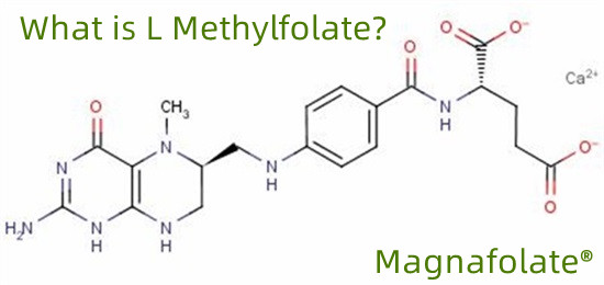 एल-मिथाइलफोलेट के हो?