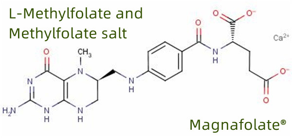 L Methylfolate को वैश्विक निर्माता र आपूर्तिकर्ता