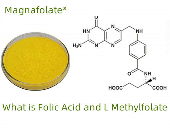 फोलेट VS फोलिक एसिड VS L-methylfolate के हो?