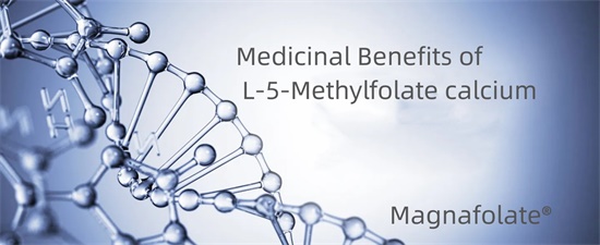 L-5-Methylfolate क्याल्सियम को औषधीय लाभ