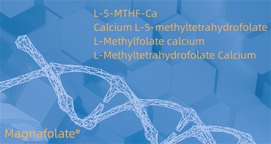 क्याल्सियम L-5-methyltetrahydrofolate Cas151533-22-1