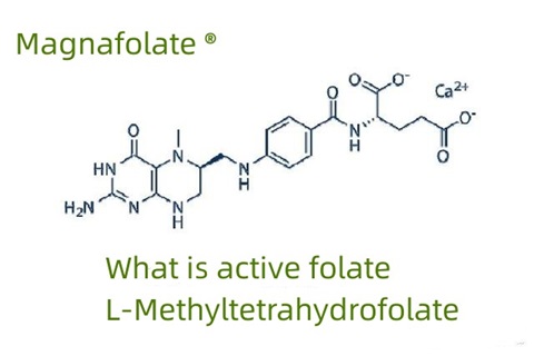 सक्रिय फोलेट र L-Methyltetrahydrofolate के हो