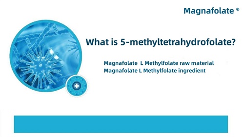 5-methyltetrahydrofolate के हो?