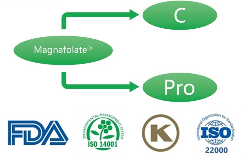 क्याल्सियम L-5-methyltetrahydrofolate के हो? आपूर्तिकर्ताहरू के हुन्?