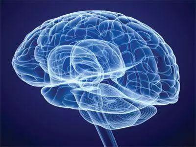 फोलेटले स्नायु प्रणालीलाई बचाउँछ र डिमेन्सिया र पार्किन्सनलाई रोक्छ